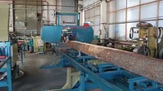 Пилорама ленточная «Авангард-ЛП-80-800» 3