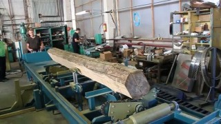 Унифицированные механизированные направляющие