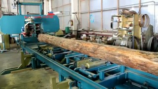 Пилорама ленточная Авангард-ЛП-80-800