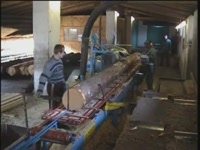 Дисковая пилорама ЦДС-1100