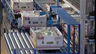 Depalletizing and palletizing of banana cartons - KUKA Robot KR 160 PA - Роботы Kuka