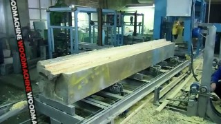 Дисковая углопильная пилорама "Гепард" - ВудМаш