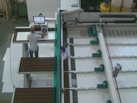 Раскроечный центр с ЧПУ Linea