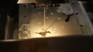 Процесс выпадания - электроэрозионная обработка.