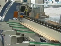 Линия автоматической (оптимизационной) торцовки пиломатериалов PUSH-180