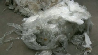 WEIMA Maschinenbau Spider 1500S 90kw 40mm Sieb Landwirtschaftsfolie