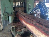 Линия распиловки бревен Esterer