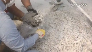 Промышленный шредер WEIMA Spider 1500 H. Дробление стекловолокна, фибергласса.