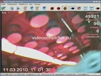 Видеосчетчик молочных изделий. Подсчет кисломолочных продуктов в автоматах фасовки