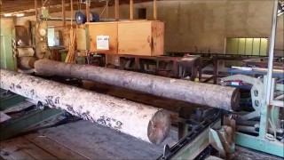Лесопильный завод, производительностью ок 90-120 м3 кругляка за 8 часов