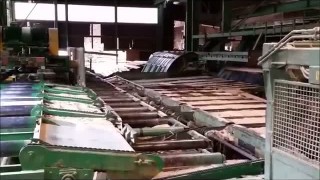 Лесопильный завод Linck, гаттер SE600