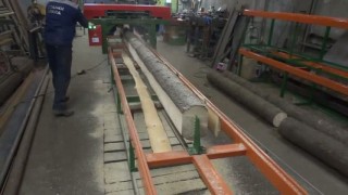 Брусующий станок для переработки тонкомера «БРУС-600».