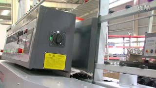 10-шпиндельный фацетный станок для обработки стекла "DXM361"