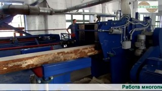 Работа многопильного станка 2M-220