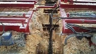 Транспортер опилочный скребковый