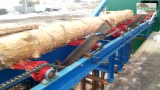 Лесопильное производство на базе головного станка первого ряда Acrtant CLS 652