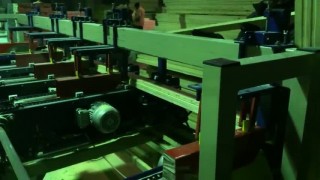 Проходной торцовочный станок TRIMWERK с кассетной загрузкой