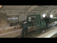 Видео на конкурс Хозяин Тайги от компании Деляна, Казань