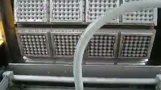 Производство яичных лотков (бугорчатые прокладки, ячейки)