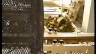 Линия формования с экструдером мод. IMP 170 и резаком мод. TG 300