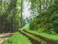 видео на конкурс Хозяин Тайги от ИП Наиля Мустафина