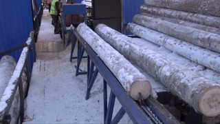 Станок бревнопильный для распиловки бревен СПР-320К-М