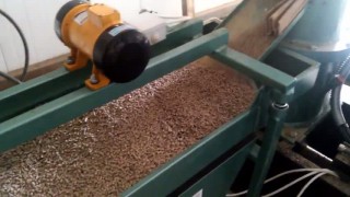 Для комбикорма и топливных гранул (пеллет)