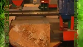 Пилорама дисковая ДПУ 500, ДПУ 600