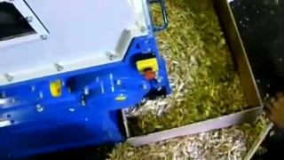 Одновальный шредер 3E WT2260