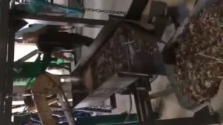 Линия гранулирования с прессом ОГМ-1,5 (новая). Сырье - опилка