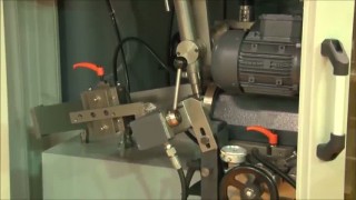 Станок для заточки дисковых пил по боковым граням Otomat DUO