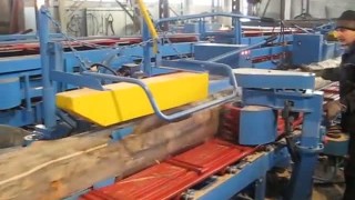 Дисковая пилорама ЦДС-710 испытание