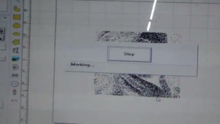 The video of BML FC fiber laser marking machine for marking stainless steel people face from Bodor