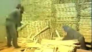 Производство палочек для еды из березы