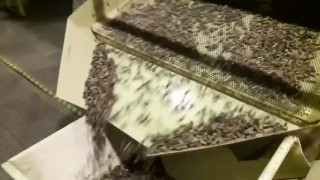 ОГМ-2,0 пресс-гранулятор с цилиндрической матрицей