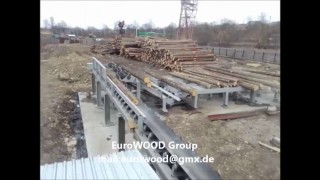 линия сортировки круглого леса