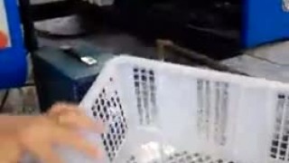 Станок для производства пластиковых ящиков для овощей