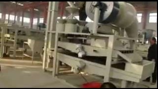 Переработка гречихи посевной (гречки)