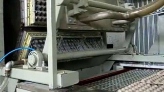 Производство яичных лотков (бугорчатые прокладки, ячейка)