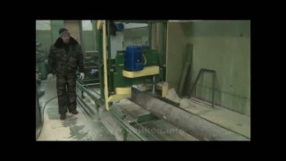 Дисковые пилорамы предназначены для продольной распиловки бревен любых пород древесины.