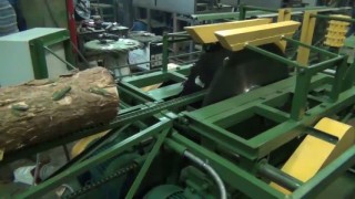 Станок брусующий(лафетный)бревнопильный дисковый многопильный СЛД-2П-1000К с кантователем бревна