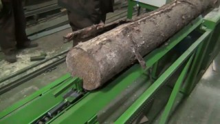 Станок брусующий (бревнопильный) горбыльно-перерабатывающий круглопильный СБГП-700 пилит тонкомер и горбыль два в одном