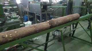 Станок брусующий (бревнопильный) дисковый СБ-4П-700 с конвейерной подачей бревна диаметром до 260 мм