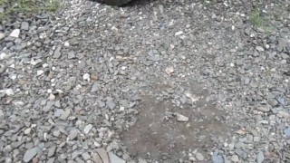 Работа компрессора ПКСД - 5.25