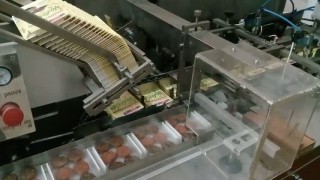 Картонажная упаковочная автоматическая линия