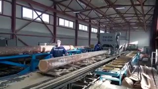 Горизонтальная дисковая пилорама GS-500