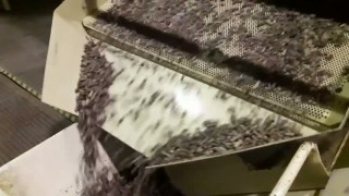 Гранулятор комбикорма, пеллет ОГМ 1,5 (75)