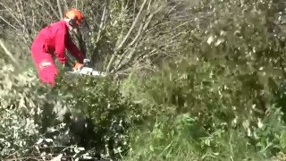 Рубильная машина CH 180 HF с гидравлической подачей.