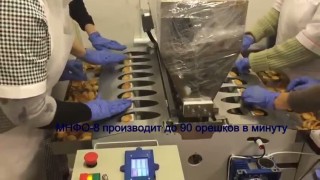 Машина для наполнения и формирования пирожного "Орешек" «МНФО – 8»