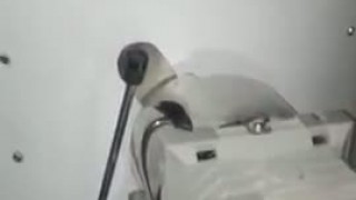 Тестомес для заварного теста  +79374449733